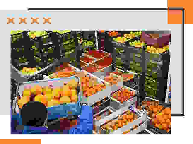 Перевозка скоропортящихся продуктов в Пушкино